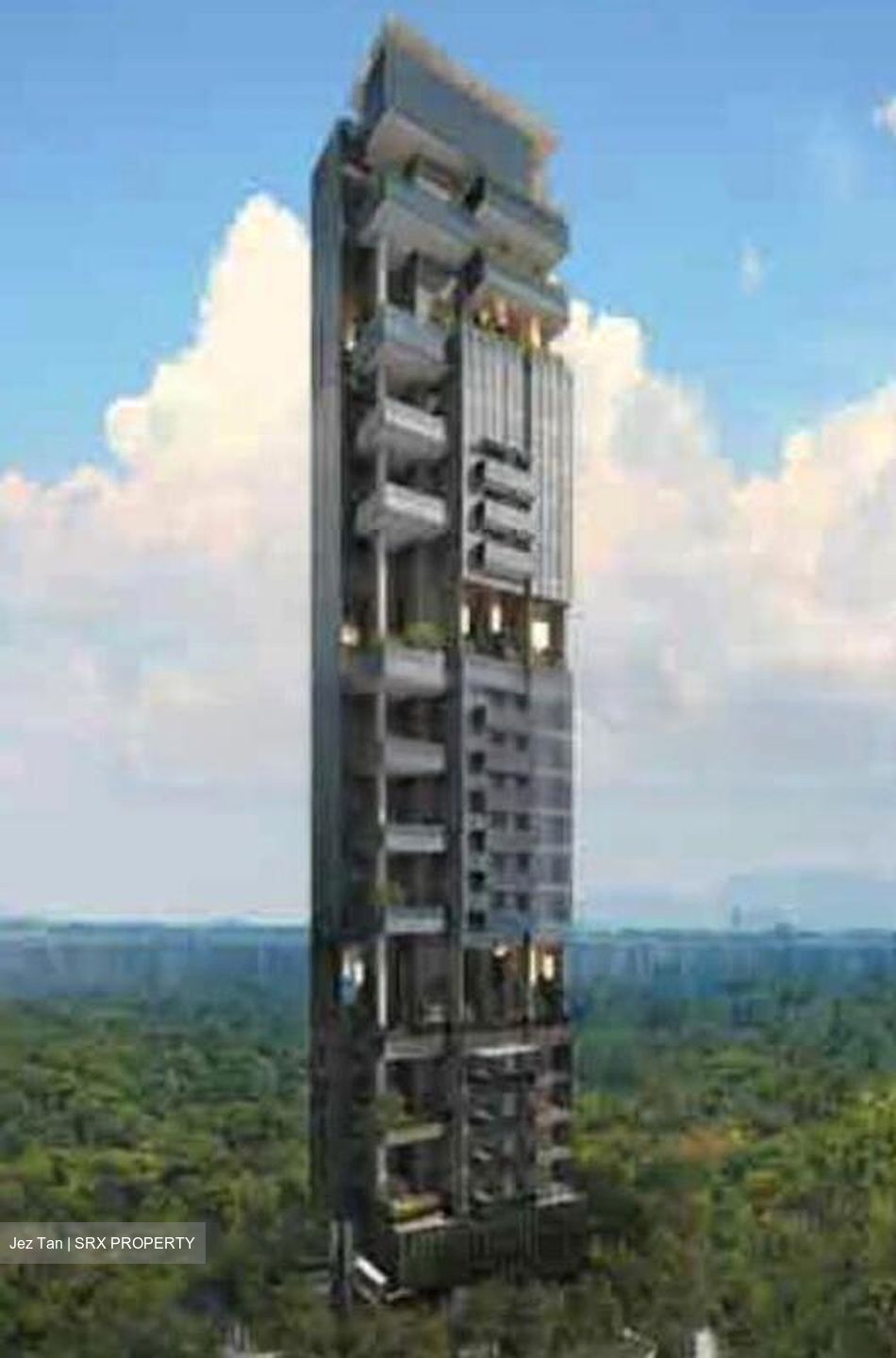 3 Cuscaden (D10), Apartment #464380841